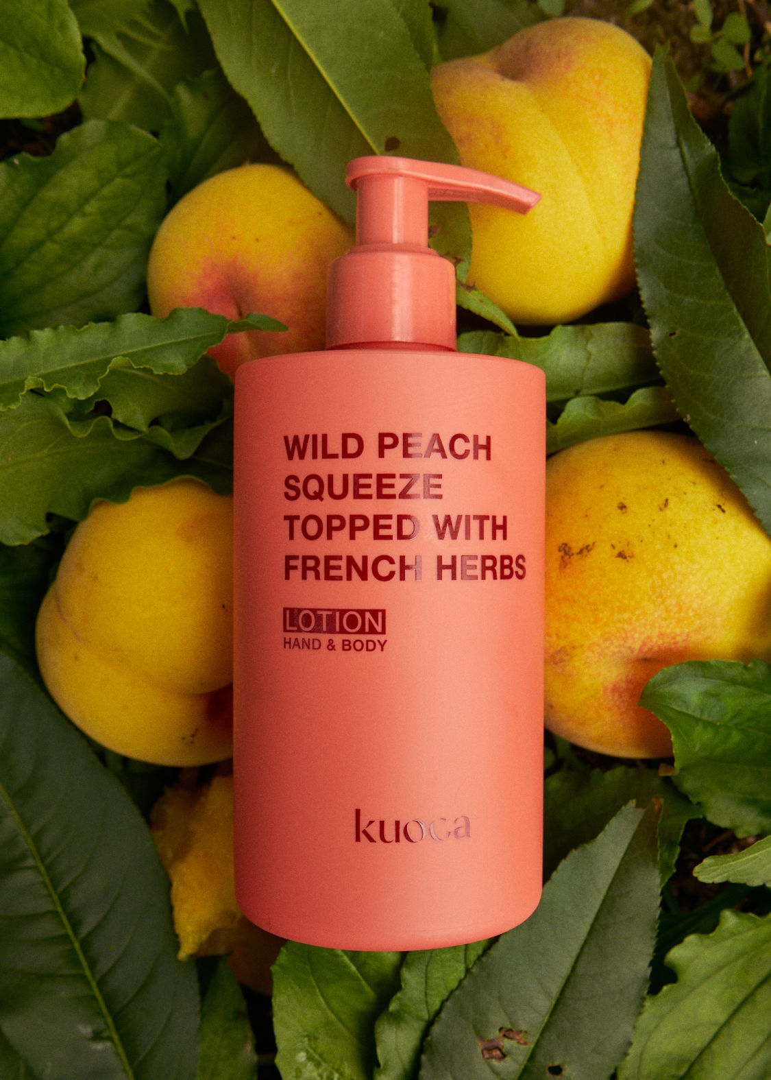 KUOCA Wild Peach Squeeze Topped with French Harbs Hand & Body Lotion